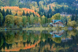 telluride-house-forest